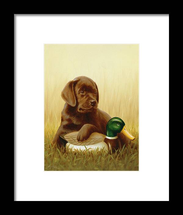 A Chocolate Lab Puppy Lying In A Field With One Paw Over A Duck Decoy.
Dog Framed Print featuring the painting Jsm38/a by John Silver