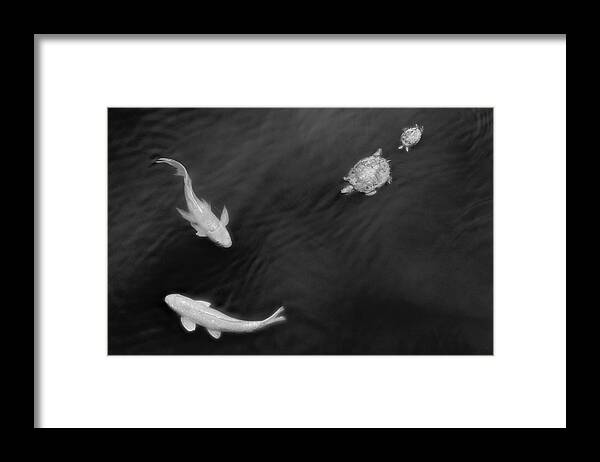 Just Below The Surface Framed Print featuring the photograph Just Below the Surface by Todd Henson