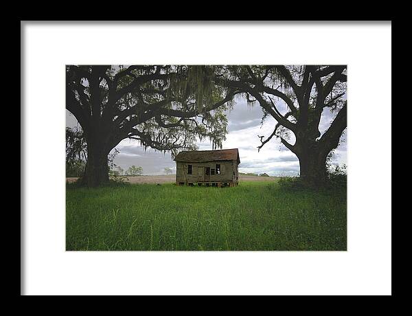 Florida Framed Print featuring the photograph Just Me and the Trees by Kelly Gomez