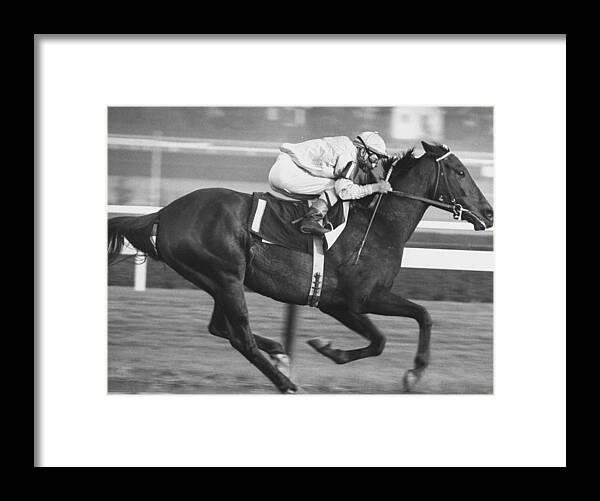 Horse Racing Framed Print featuring the photograph Kelso, Horse Of The Year by George Silk