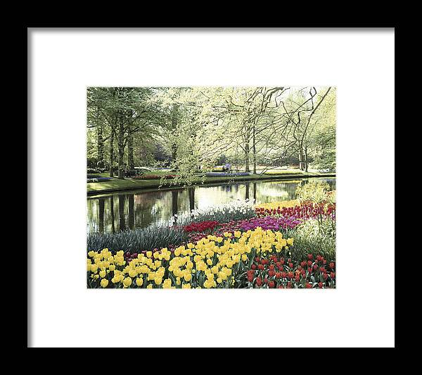 Botanical Framed Print featuring the photograph Keukenhof Gardens, Lissa, Netherlands by Artist - Unknown