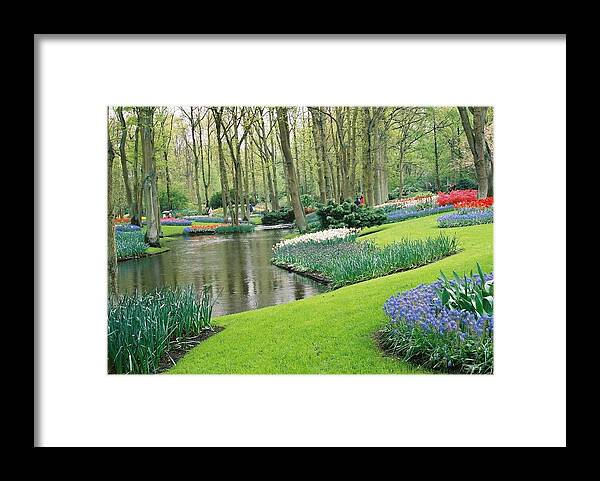  Framed Print featuring the photograph Keukenhof Gardens by Susie Rieple