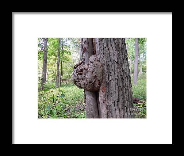 Fungus Framed Print featuring the photograph Knot On A Tree by Phil Perkins