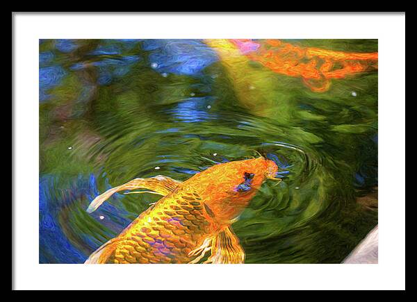 Turn Me Right Round Framed Print featuring the digital art Koi Pond Fish - Turn Me Right Round - by Omaste Witkowski by Omaste Witkowski