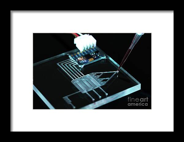 Lab Framed Print featuring the photograph Lab On A Chip by Wladimir Bulgar/science Photo Library