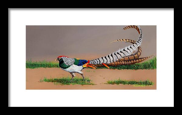 Birds Framed Print featuring the painting Lady Amherst Pheasant by Dana Newman
