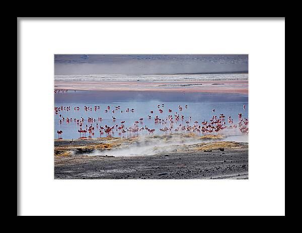 Bolivia Framed Print featuring the photograph Laguna Colorada by Juergen Ritterbach