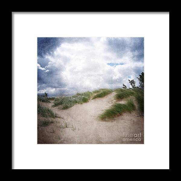 Holland Framed Print featuring the photograph Lake Michigan Sand Dunes by Phil Perkins