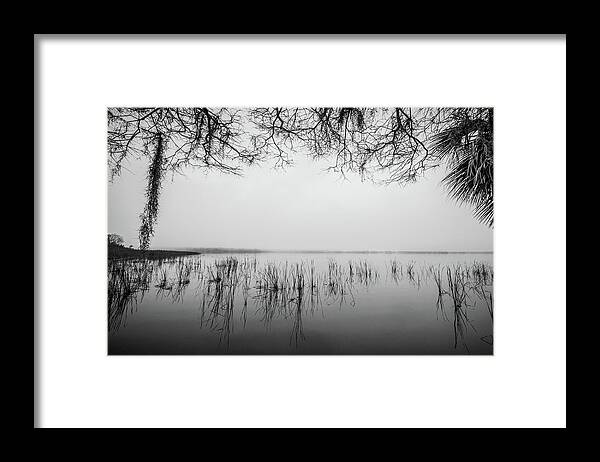 Nature Framed Print featuring the photograph Lake Tarpon by Joe Leone