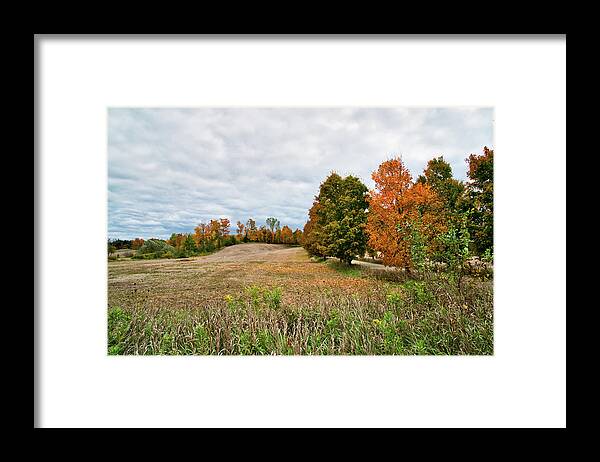 Fall Framed Print featuring the photograph Landscape In The Fall by Nick Mares
