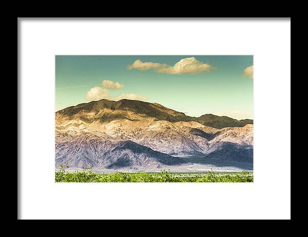 Top Artist Framed Print featuring the photograph Landscape Joshua Tree 7370 by Amyn Nasser