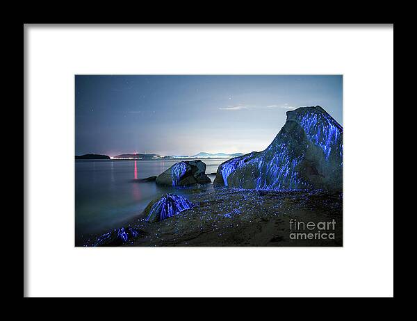 Water's Edge Framed Print featuring the photograph Large Stones Appear To Weep On The Beach by Tdub video
