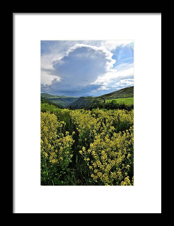 Colorado Framed Print featuring the photograph Last Dollar Road Scene West of Telluride by Ray Mathis