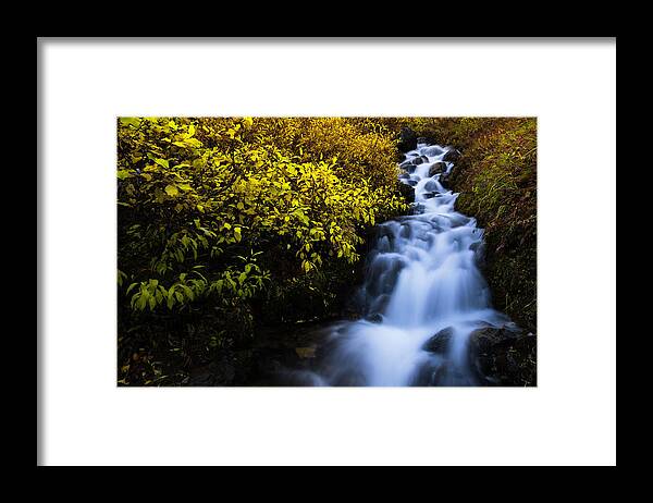 Alaska Framed Print featuring the photograph Last Shot by Chad Dutson