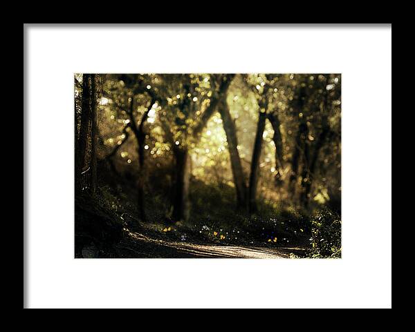  Framed Print featuring the photograph Late Afternoon by Cybele Moon