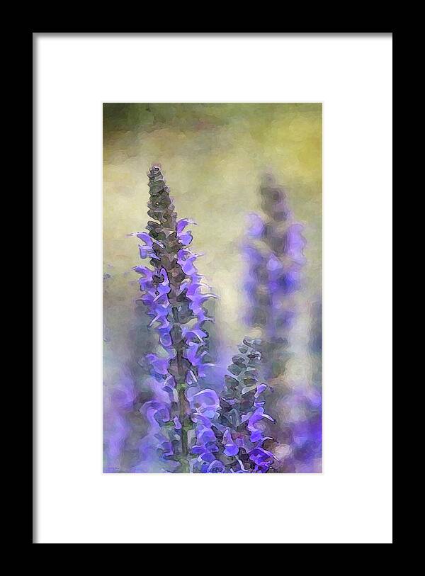 Impressionist Framed Print featuring the photograph Lavender 0251 IDP_2 by Steven Ward