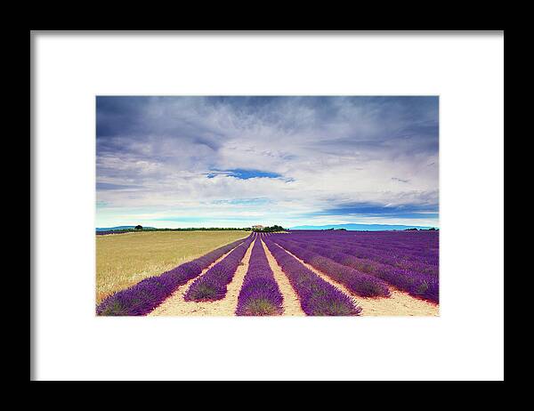 Dawn Framed Print featuring the photograph Lavender Field And Farm Building by Mammuth