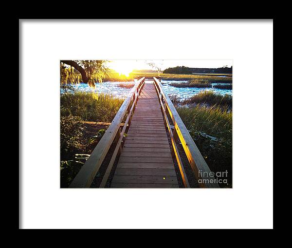 Johns Island Framed Print featuring the photograph Lead Me To The Light by Robert Knight