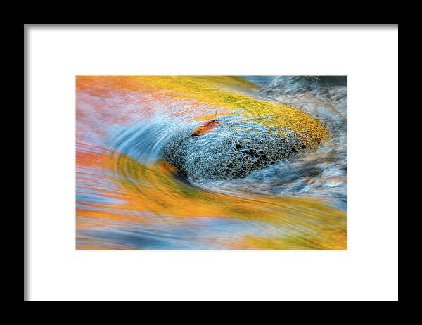 Autumn In Nh Framed Print featuring the photograph Leaf Lines NH by Michael Hubley