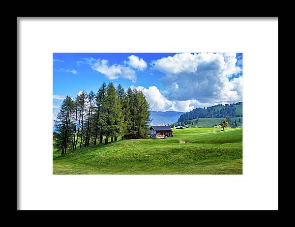 Leaning Trees In Alpe Di Siusi Framed Print featuring the photograph Leaning Trees in Alpe di Siusi by Carolyn Derstine