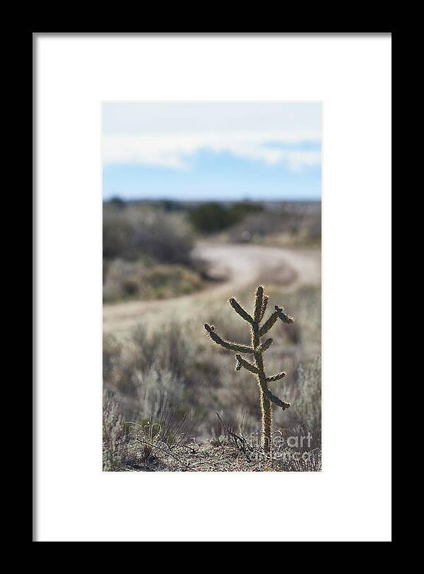 New Mexico Desert Framed Print featuring the photograph Left at Albuquerque by Robert WK Clark