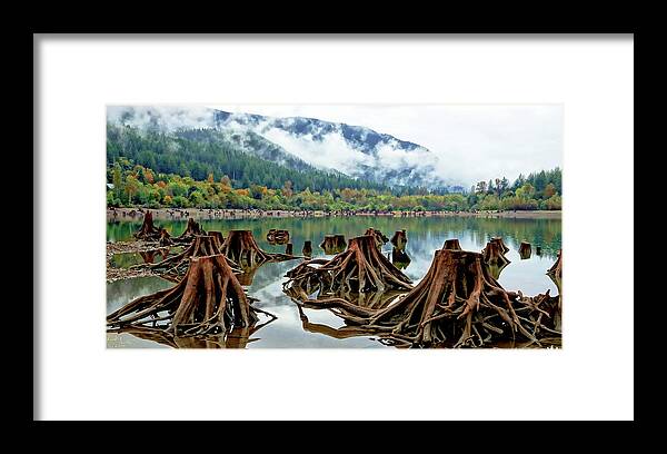 Trees Framed Print featuring the photograph Leftovers by Rick Lawler