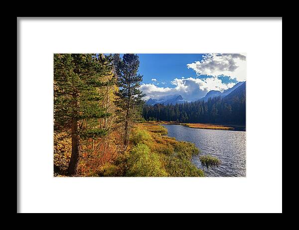 Fall Colors Framed Print featuring the photograph Legends of the Fall by Tassanee Angiolillo