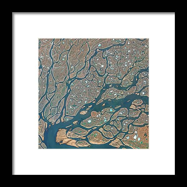 Satellite Image Framed Print featuring the digital art Lena delta from space by Christian Pauschert
