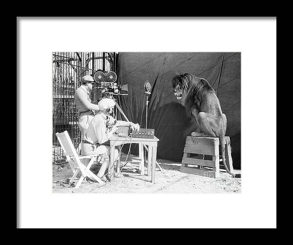 People Framed Print featuring the photograph Leo The Lion Being Recorded by Bettmann