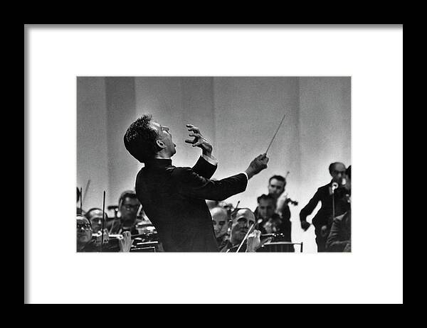 Musical Conductor Framed Print featuring the photograph Leonard Bernstein Conducting by Pictorial Parade