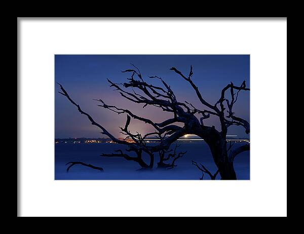 Driftwood Beach Framed Print featuring the photograph Life Beyond the Graveyard of Trees by James Covello