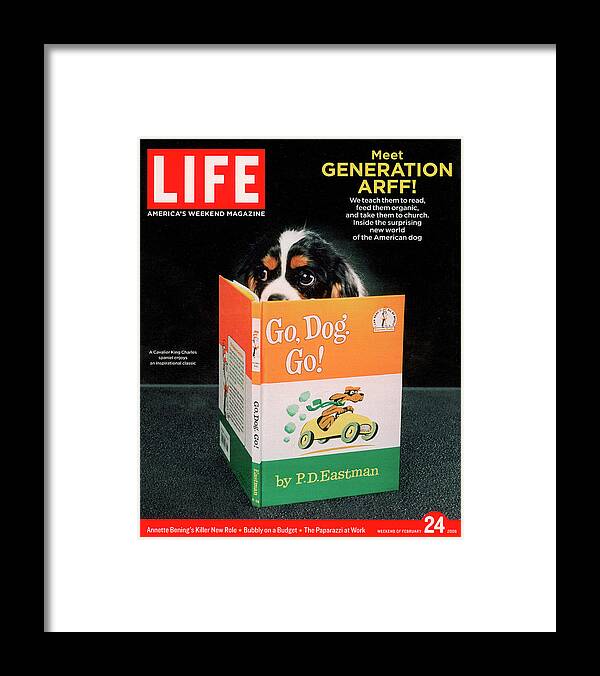 Cavalier King Charles Spaniel Framed Print featuring the photograph LIFE Cover: February 24, 2006 by Chris Buck