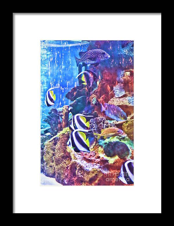 Dark Framed Print featuring the digital art Life In The Tank by Recreating Creation