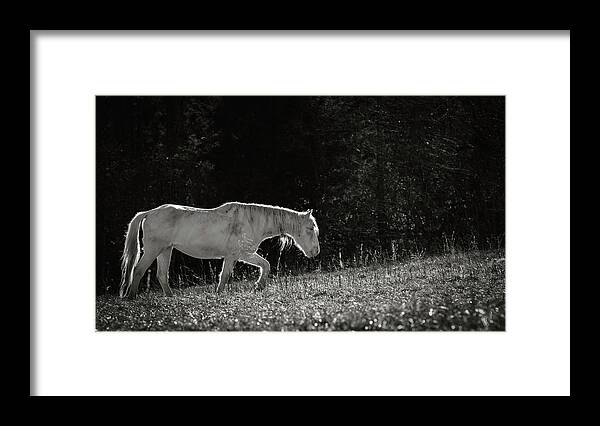 Horse Framed Print featuring the photograph Life is an Uphill Battle by Holly Ross