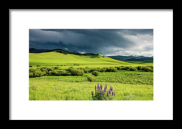 Montana Framed Print featuring the photograph Light and Landscape in Big Sky Country by Marcy Wielfaert