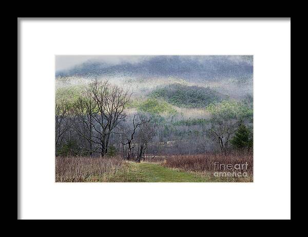 Smoky Mountains Framed Print featuring the photograph Light Mountain Snow by Mike Eingle