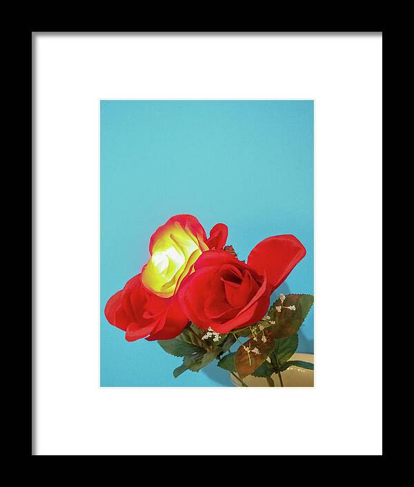 Flower Framed Print featuring the photograph Lighted Rose by C Winslow Shafer