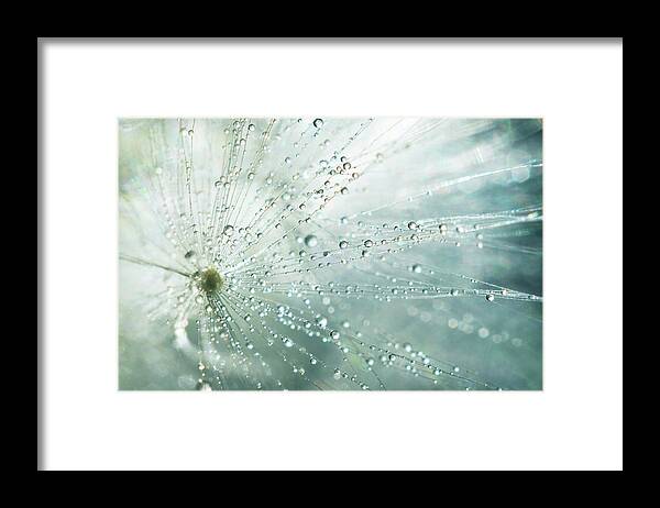 Ethereal Framed Print featuring the photograph Lightness of Being by Michelle Wermuth