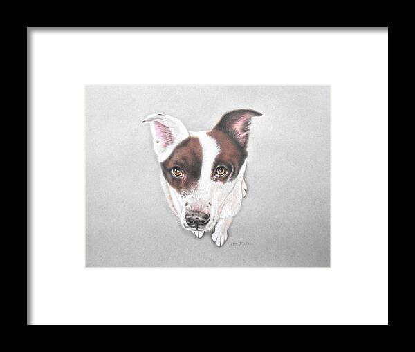 Dog Framed Print featuring the drawing Lily by Karrie J Butler