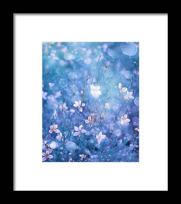 Macro Framed Print featuring the photograph Little Beauties by Delphine Devos