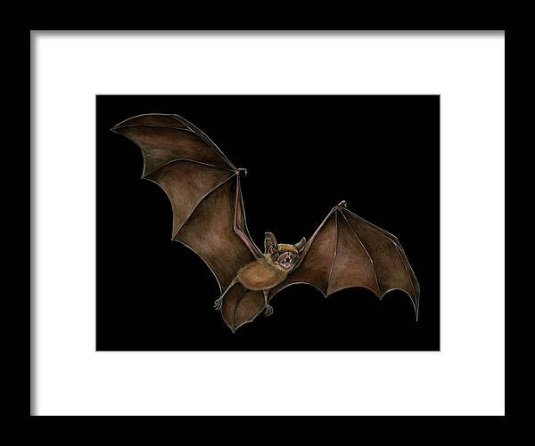 Little Brown Bat Framed Print featuring the painting Little Brown Bat by Mindy Lighthipe- Artist Llc