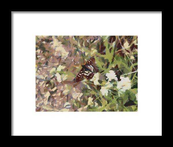 Butterfly Framed Print featuring the digital art Little Butterfly by Bernie Sirelson