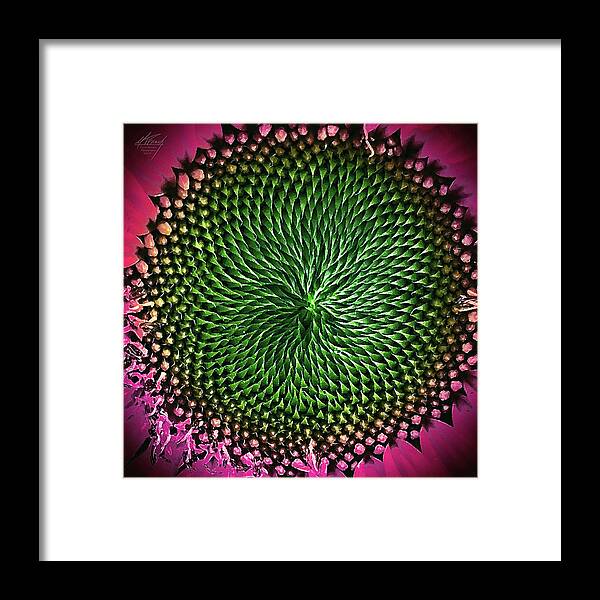 Abstract Framed Print featuring the photograph Little Shop of Horrors by Michael Frank