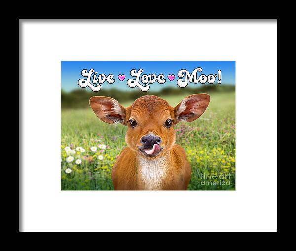 Calf Framed Print featuring the digital art Live Love Moo by Evie Cook
