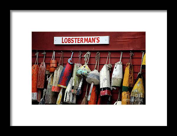 Lobster Pot Markers Framed Print featuring the photograph Lobsterman's by Terri Brewster