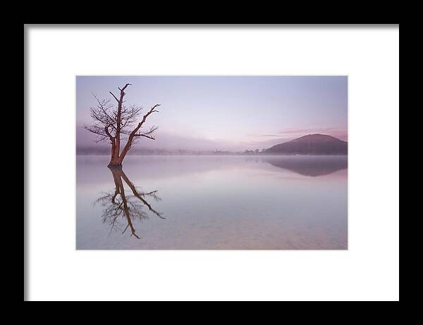 Landscape Framed Print featuring the photograph Lone dead tree in the Lake by Anita Nicholson