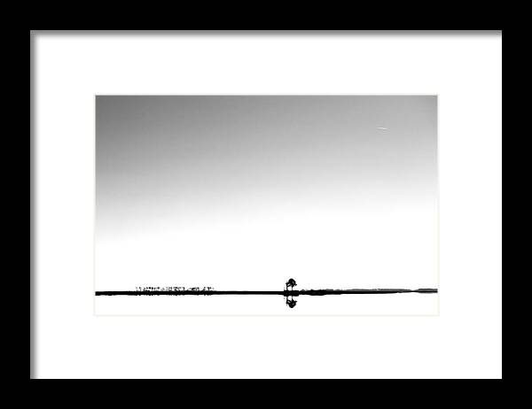 Tree Framed Print featuring the photograph Lonely Tree by Fred Walker