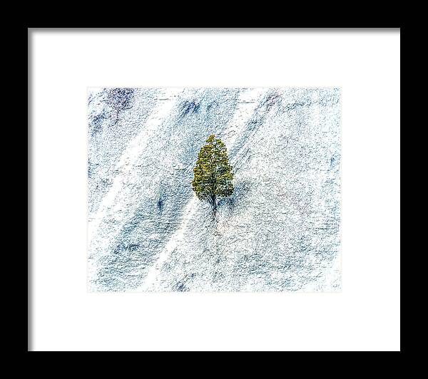 Lonely Tree On The Side Of A Cliff In Letchworth State Park. This Is A Single Image Processed With Adobe Camera Raw Framed Print featuring the photograph Lonely Tree by Jim Lepard