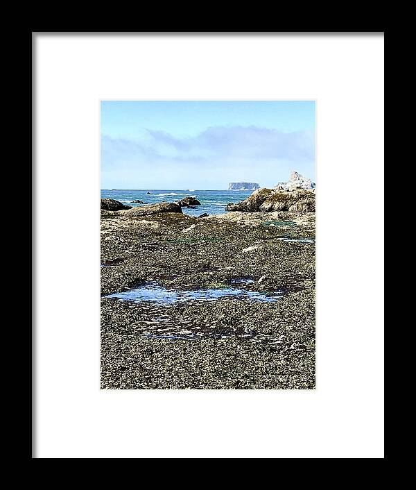 Beach Framed Print featuring the photograph Long View Of Rialto Beach by LeLa Becker