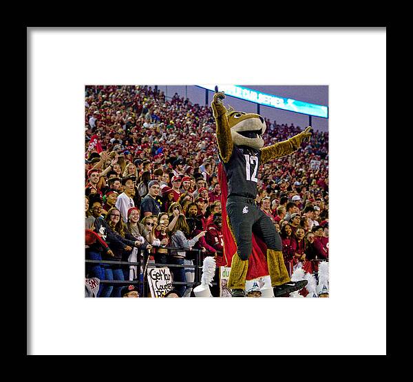 Cougars Framed Print featuring the photograph Look at Butch by Ed Broberg